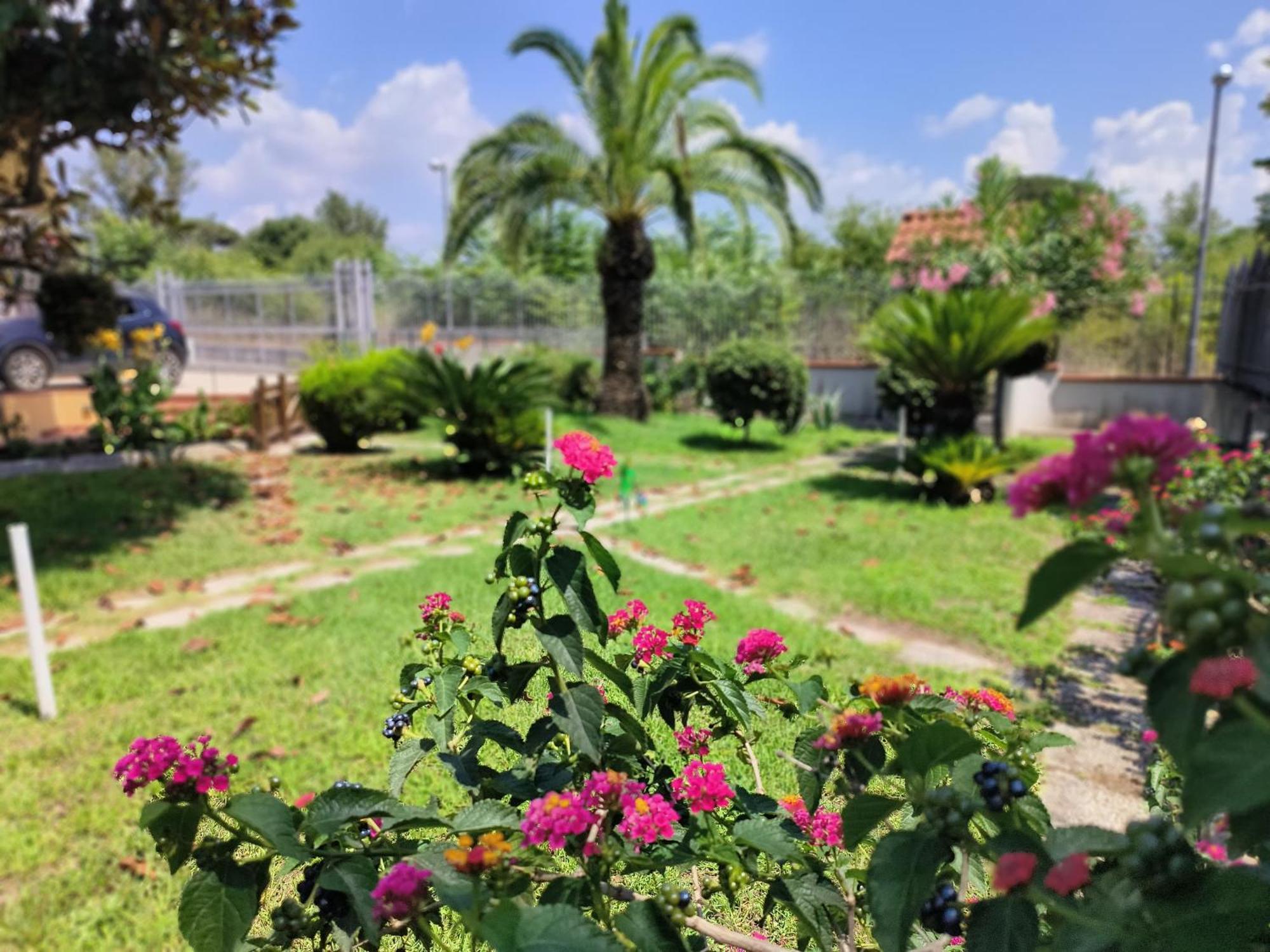 I Giardini Di Plinio - Elegante E Luminoso. Apartment Boscoreale Bagian luar foto